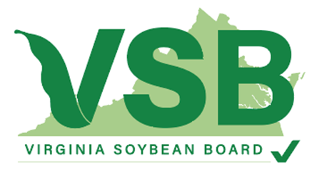 VSB Logo